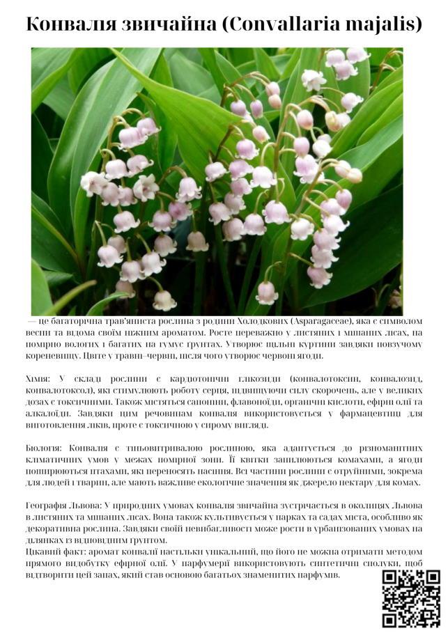 C:\Users\Admin\Desktop\робота школа\навчальний рік 24-25\Грунти\IMG_5255.PNG